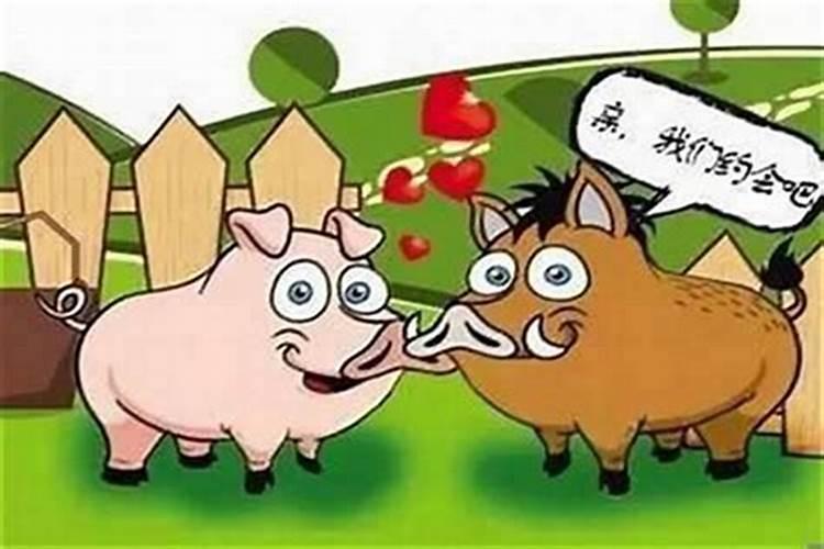 男狗女猪合婚之道：八字命理解析与和谐婚姻的秘诀