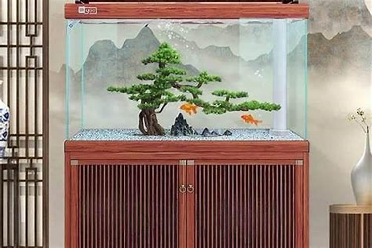 风水鱼缸：如何打造一个和谐的生活空间？