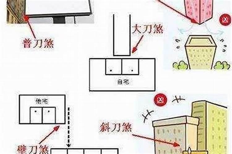 什么风水伤男主人？