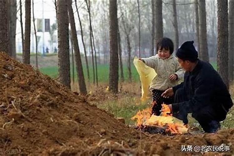 坟山树被别人砍了怎么处理：风水大师的专业解读？