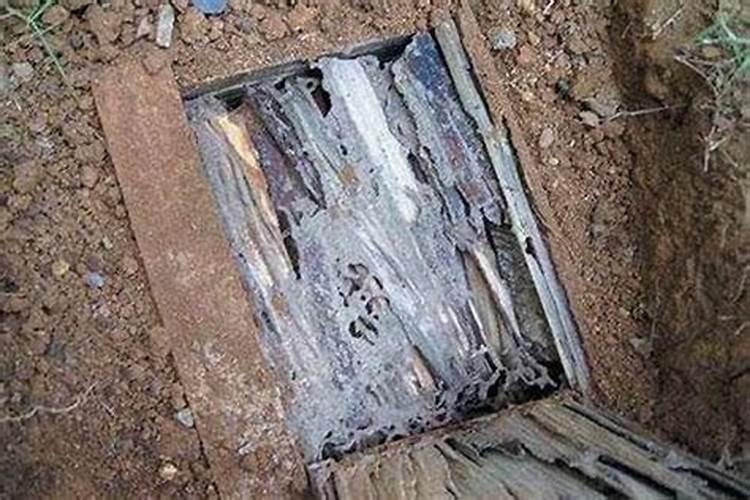 风水宝地：坟墓里有白蚁和白蚁窝好不好？？