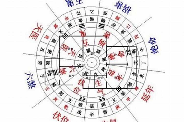 梦游阴宅：风水学解读你内心的寻根之旅