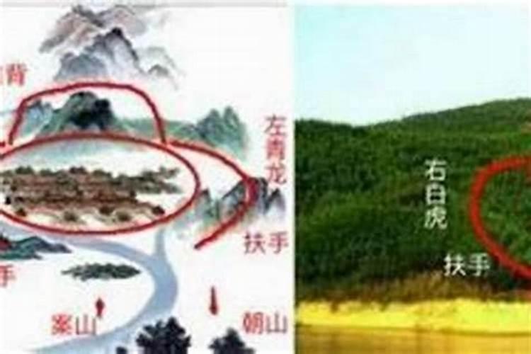 阴宅风水对后代的影响有依据吗？