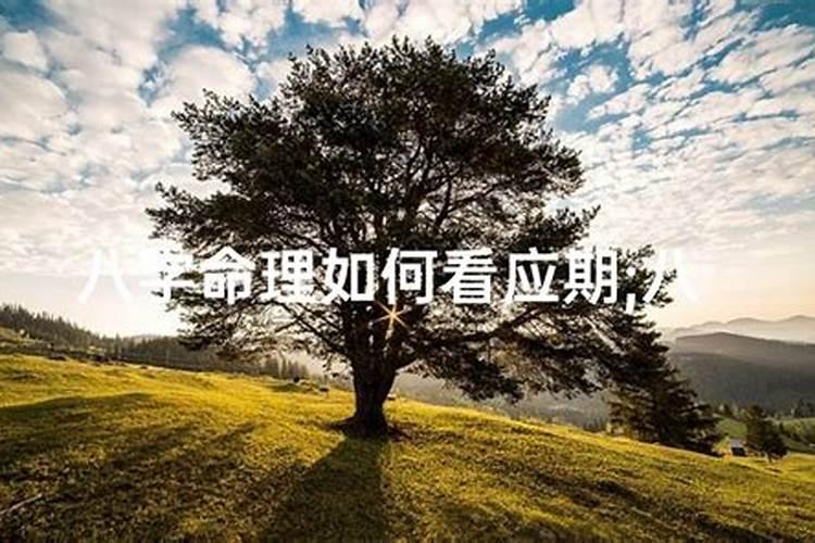 揭秘八字命理：如何准确预测子女情况？