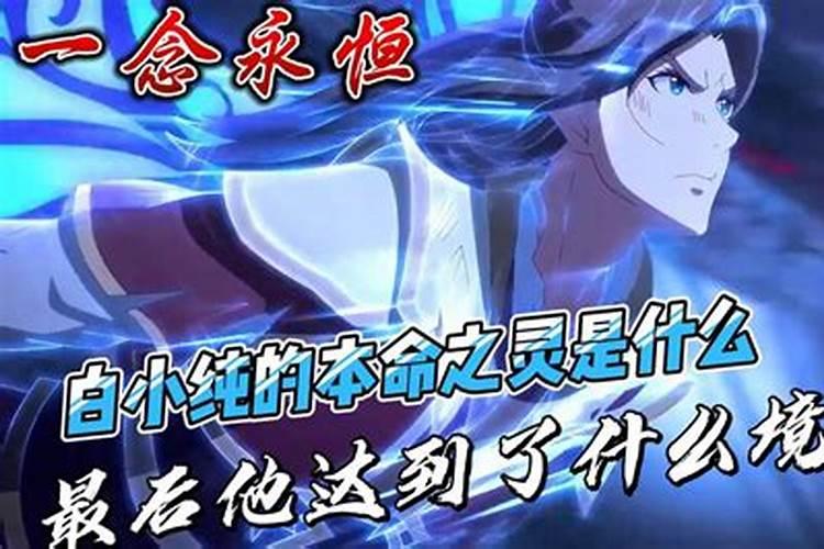 白小纯本命之灵是什么？