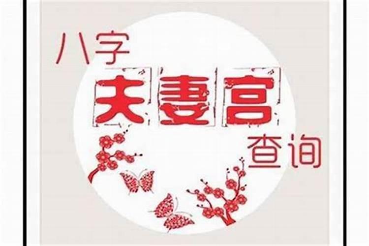 八字的配偶宫如何看？