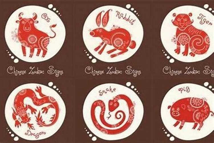 属狗与属猴的八字命理解析：合婚的可能性