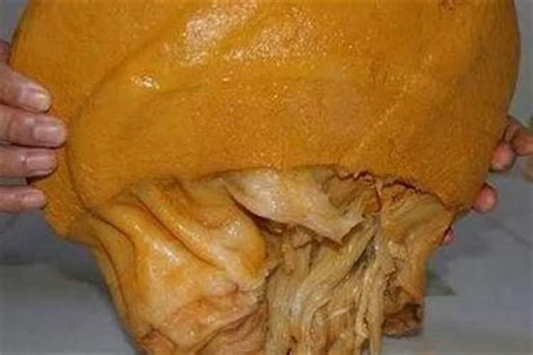 太岁之谜：犯太岁与其它太岁的解析