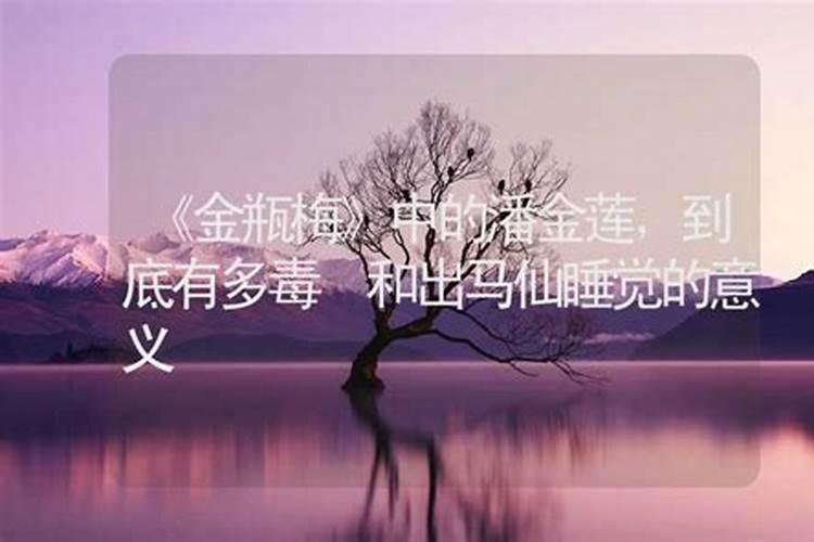 八字命理中的出马仙与法事：灵验与否？