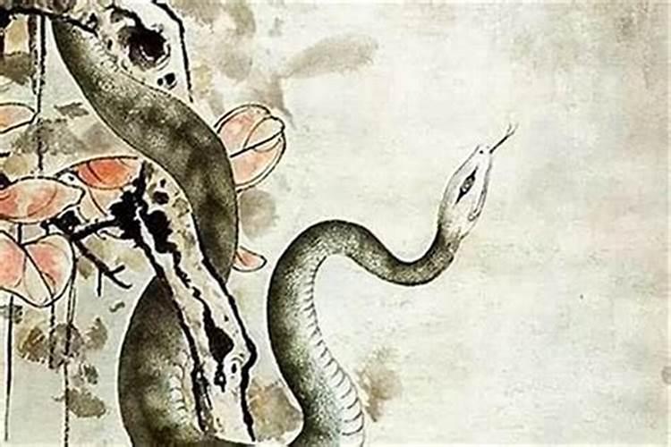 蛇的生肖贵人属相是谁？