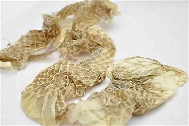 坟头出现蛇是什么预兆？