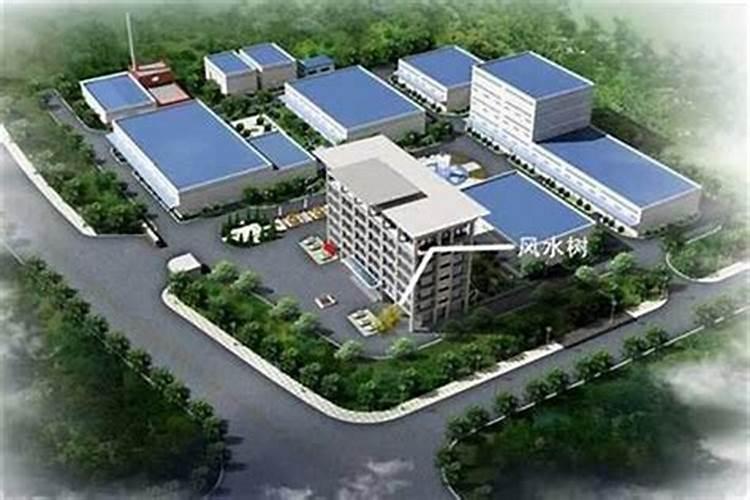 公司风水不好表现：如何调整布局以提升事业运势？？