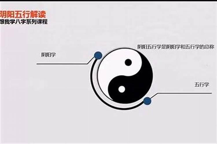 阴债与肉食：八字命理中的阴阳平衡与生活实践