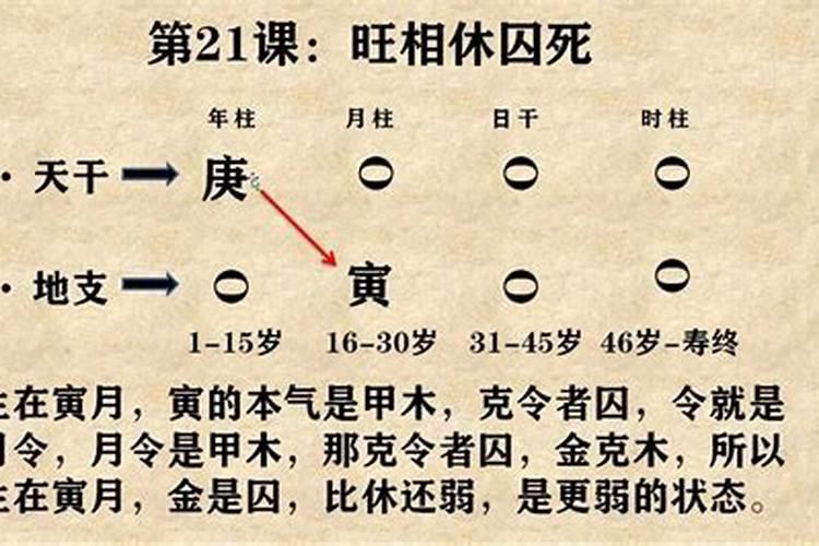 八字解读：何时迎来新生命