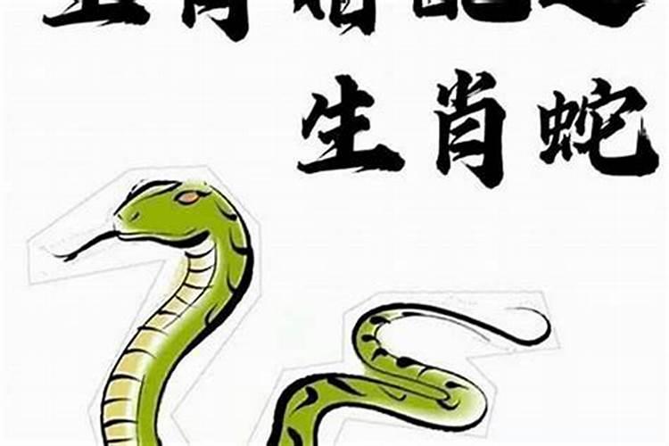 蛇男与哪个属相最配：八字命理解析？