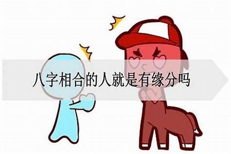 八字相合：缘分的天定与人为