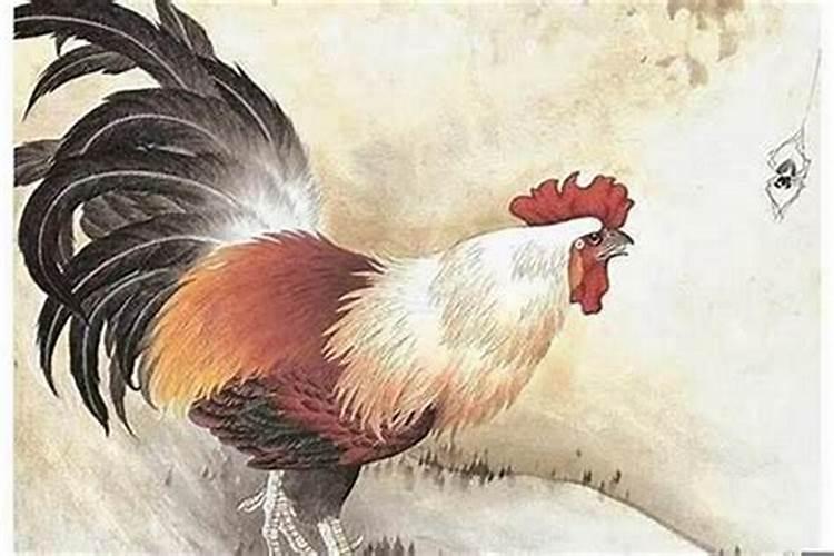 鸡与鸡的婚配属相：八字命理学的探讨