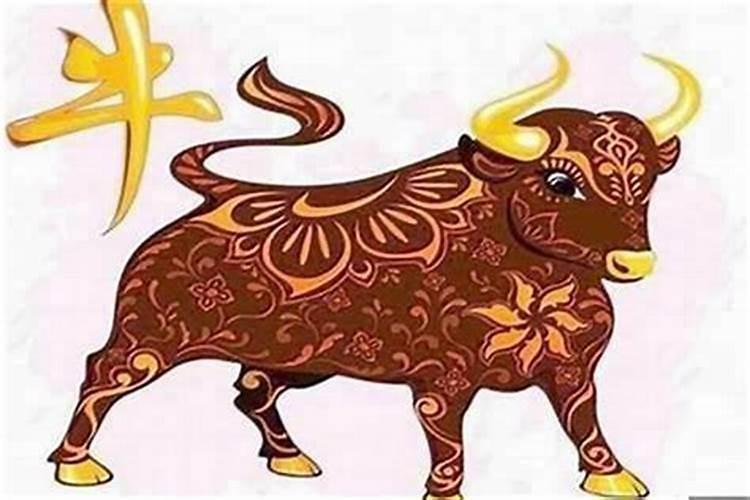 牛年之恋：两人都属牛的合婚解析