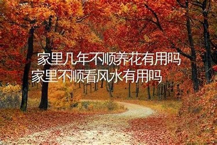 家庭不顺看风水有用吗好吗？