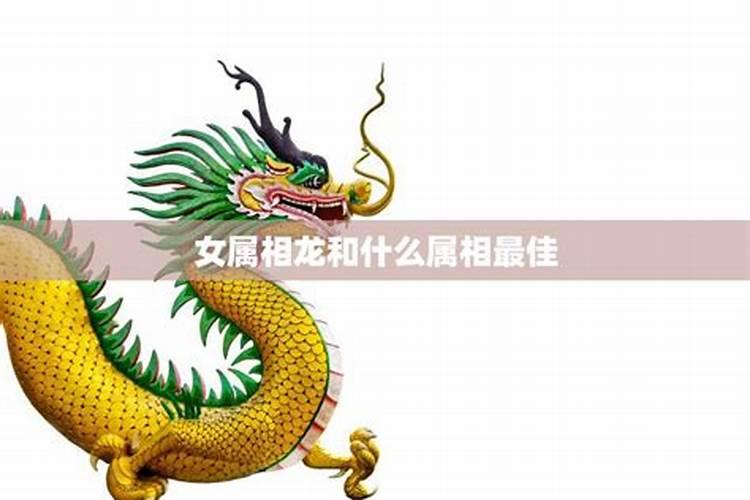 龙腾四海：男属龙婚配什么属相女？