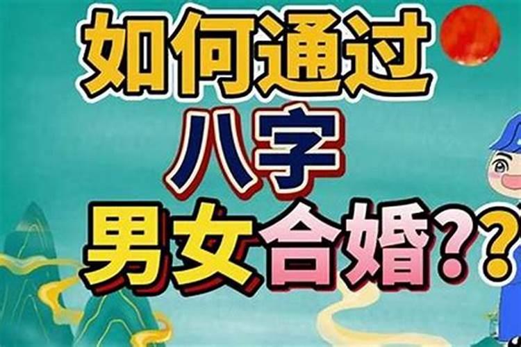 八字合婚：如何找到最佳的伴侣？