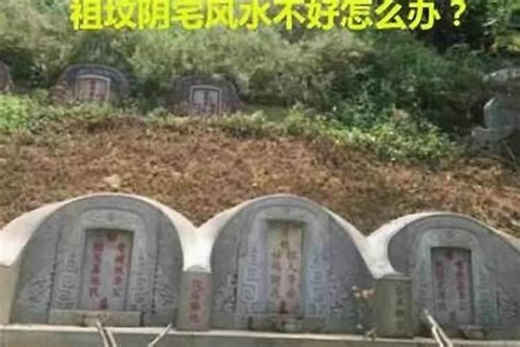 为什么不能轻易动祖坟？