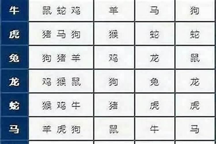 鼠猪之缘：探讨属鼠和属猪的合婚之道