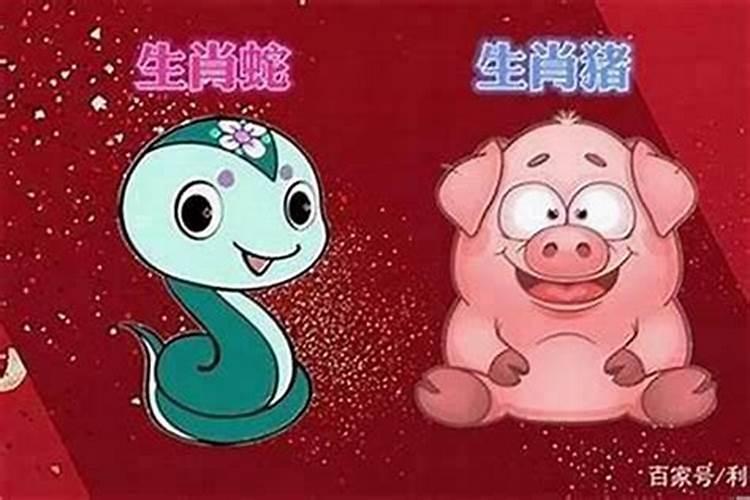 属猪女与属猴男：八字合婚指南