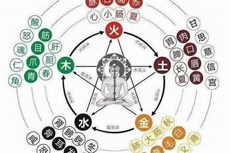 掌握五行之道：如何运用八字命理提升财运？