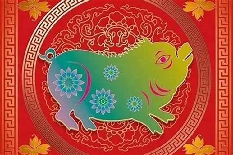 猪本命年忌讳什么属相？