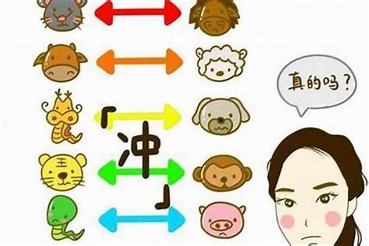 八字不合的生肖有哪些？