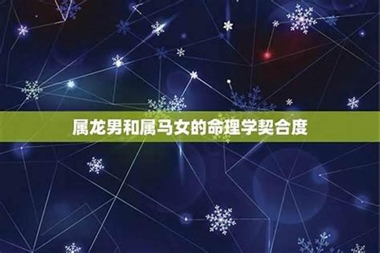 八字命理解析：属马和属大龙的合婚吗？