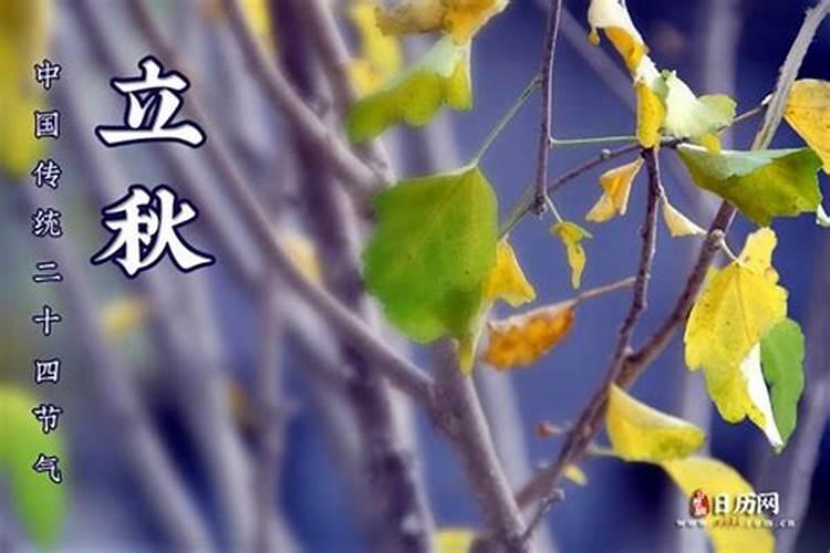 立秋是几月几日2024吃什么？