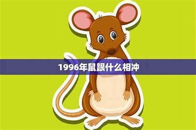 本命年鼠和什么相冲：八字命理揭秘？