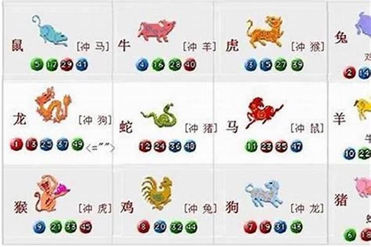 鸡兔婚配：属相合与不合的命理解析