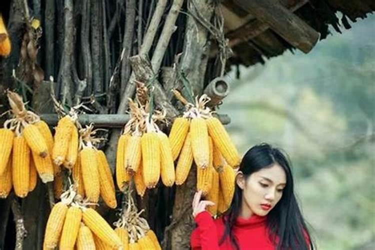 逆境转运：风水学中的财运提升之道