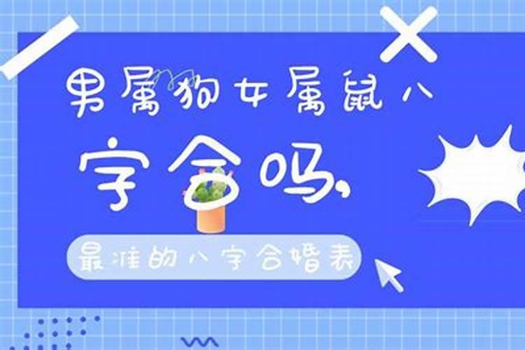 男朋友属猫我属鼠八字合吗？