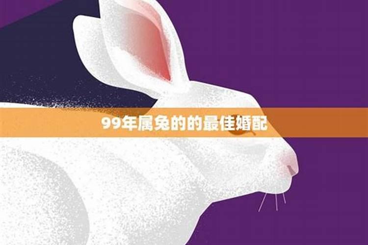 兔年婚配：属兔人的最佳伴侣