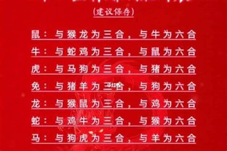 什么生肖属相上上婚配？