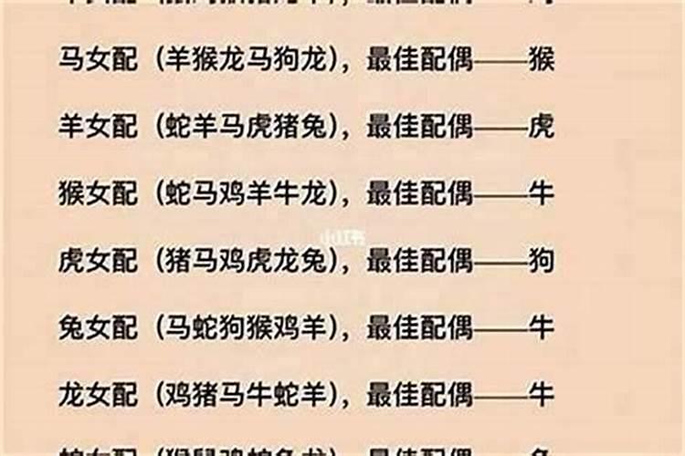 猪女与十二生肖的姻缘：寻找最佳婚配