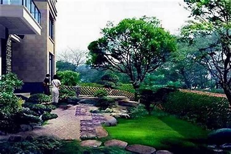 家中别墅风水布局：种植何种树木为佳？
