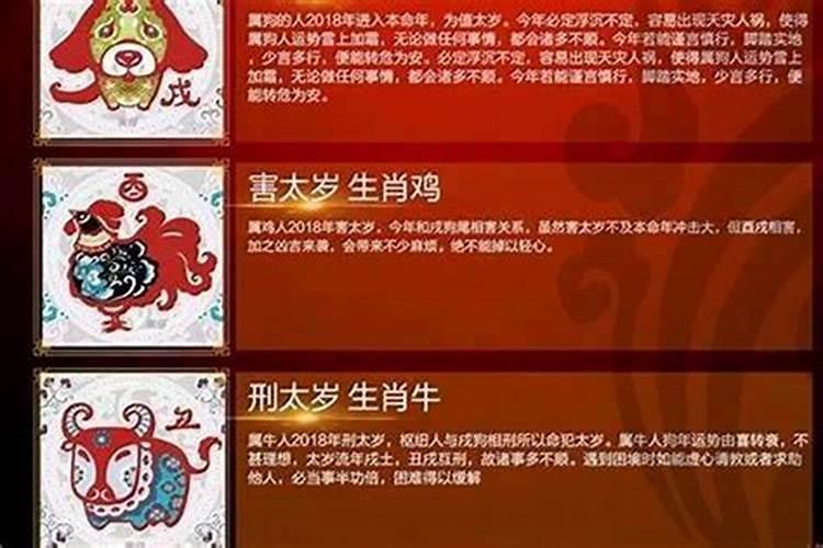 解读女生本命年运气不佳的奥秘