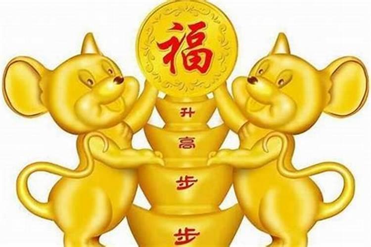 鼠年之恋：探索属鼠人的最佳婚配