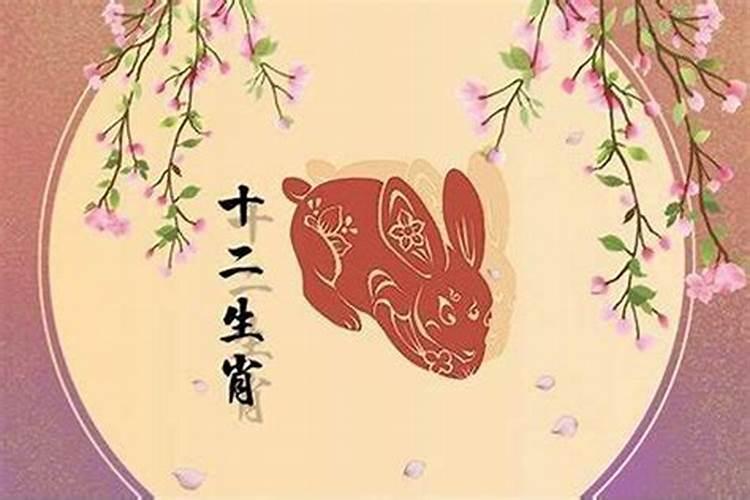 兔的本命年：如何应对与化解？