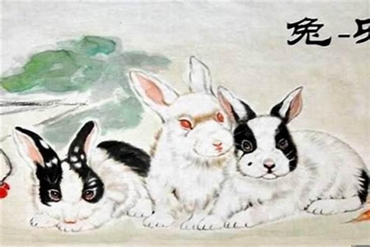 兔年太岁冲什么生肖：揭秘八字命理中的奥秘？