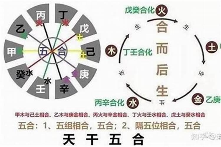 八字中甲乙合：探秘命理学中的神秘力量