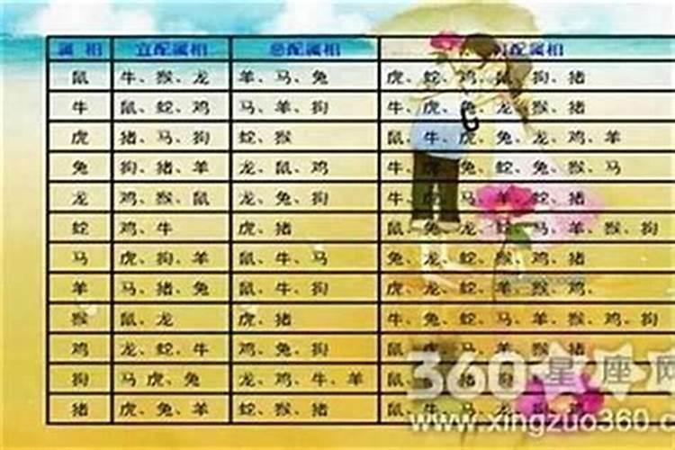 什么属相最好相处朋友？