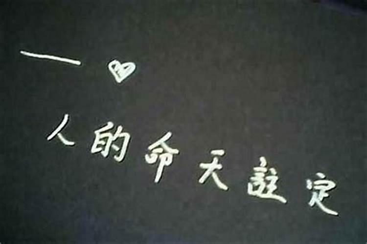 1961一个注定的命运之年