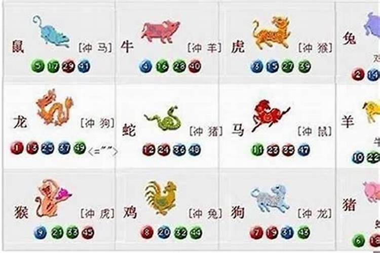 羊的三合和6合是什么：探讨生肖文化中的数字奥秘？