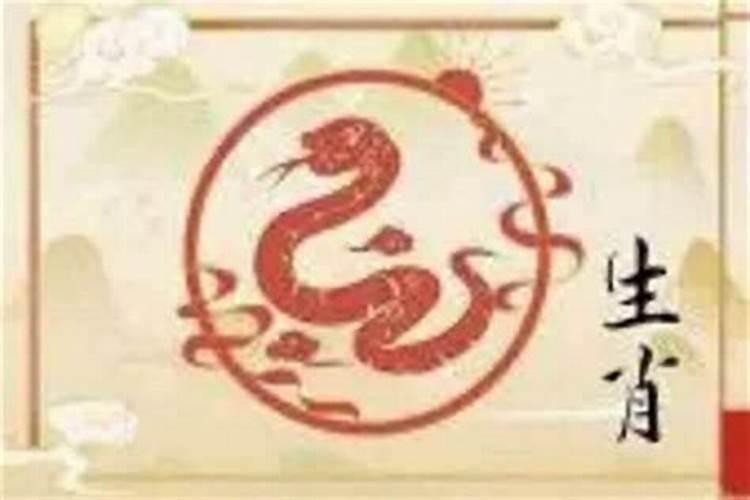 属蛇的婚配指南：寻找天赐良缘
